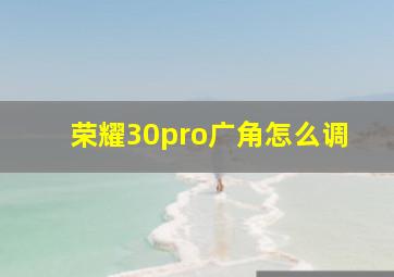 荣耀30pro广角怎么调