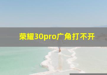 荣耀30pro广角打不开