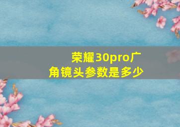 荣耀30pro广角镜头参数是多少