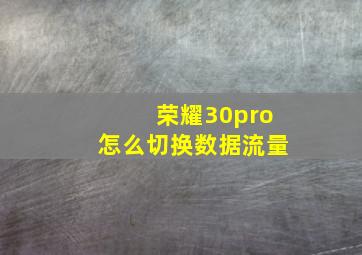 荣耀30pro怎么切换数据流量