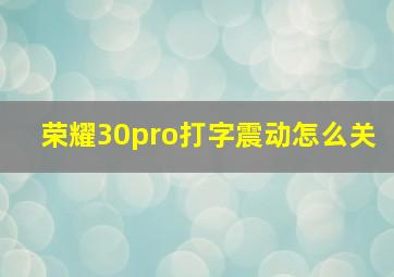 荣耀30pro打字震动怎么关