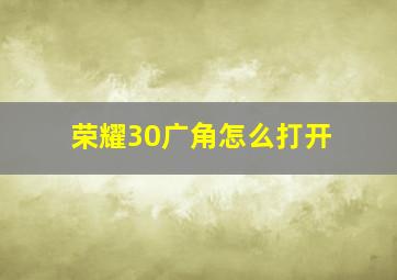 荣耀30广角怎么打开