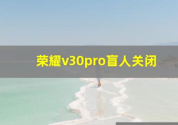 荣耀v30pro盲人关闭