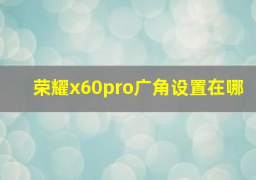 荣耀x60pro广角设置在哪