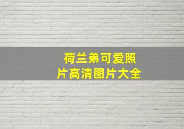 荷兰弟可爱照片高清图片大全