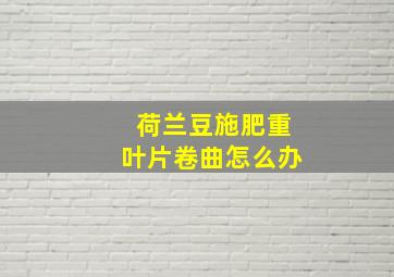 荷兰豆施肥重叶片卷曲怎么办