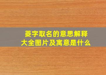 菱字取名的意思解释大全图片及寓意是什么