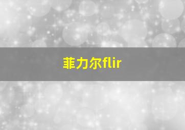 菲力尔flir