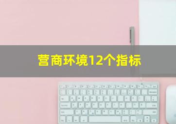 营商环境12个指标