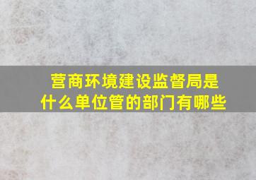 营商环境建设监督局是什么单位管的部门有哪些