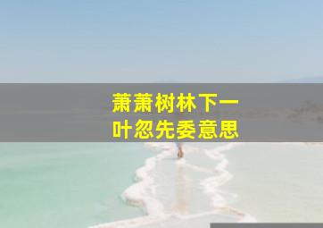 萧萧树林下一叶忽先委意思