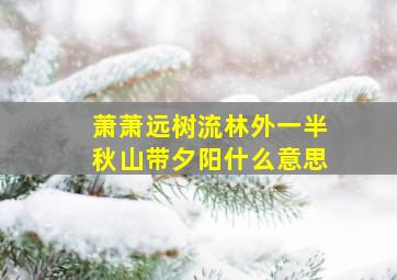 萧萧远树流林外一半秋山带夕阳什么意思