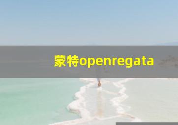 蒙特openregata