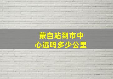 蒙自站到市中心远吗多少公里