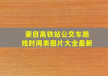 蒙自高铁站公交车路线时间表图片大全最新