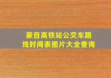 蒙自高铁站公交车路线时间表图片大全查询