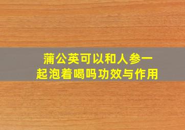 蒲公英可以和人参一起泡着喝吗功效与作用