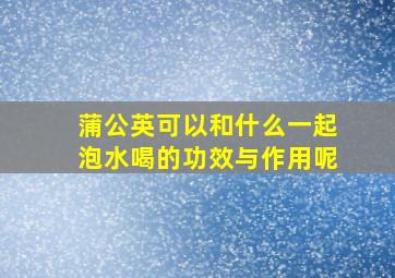 蒲公英可以和什么一起泡水喝的功效与作用呢