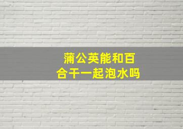 蒲公英能和百合干一起泡水吗