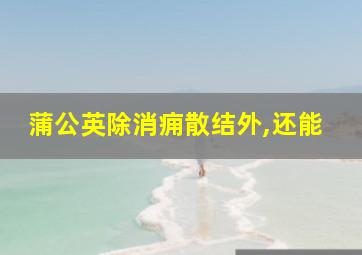 蒲公英除消痈散结外,还能