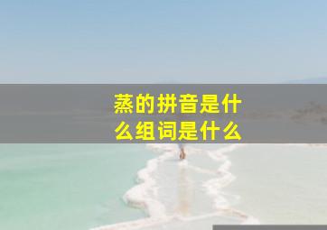 蒸的拼音是什么组词是什么