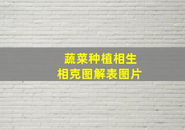 蔬菜种植相生相克图解表图片