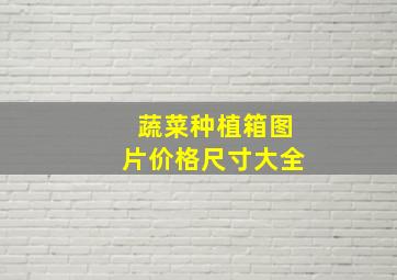 蔬菜种植箱图片价格尺寸大全