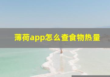 薄荷app怎么查食物热量