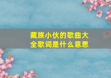 藏族小伙的歌曲大全歌词是什么意思