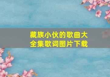 藏族小伙的歌曲大全集歌词图片下载