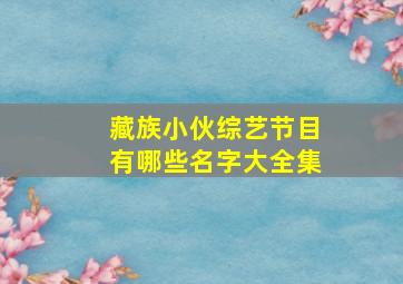 藏族小伙综艺节目有哪些名字大全集