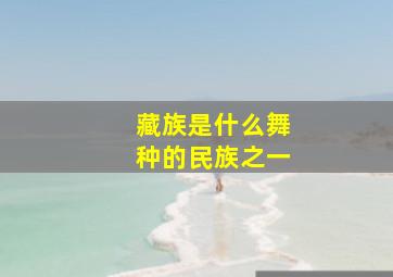 藏族是什么舞种的民族之一