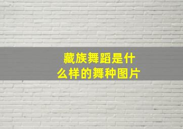 藏族舞蹈是什么样的舞种图片