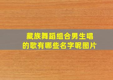 藏族舞蹈组合男生唱的歌有哪些名字呢图片