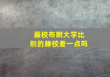 藤校布朗大学比别的滕校差一点吗