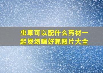 虫草可以配什么药材一起煲汤喝好呢图片大全