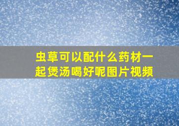 虫草可以配什么药材一起煲汤喝好呢图片视频