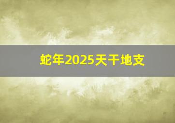 蛇年2025天干地支