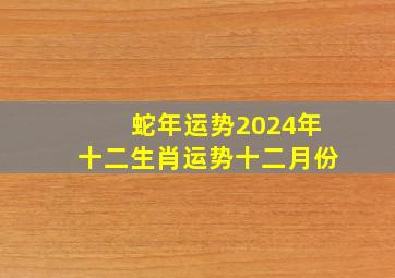 蛇年运势2024年十二生肖运势十二月份