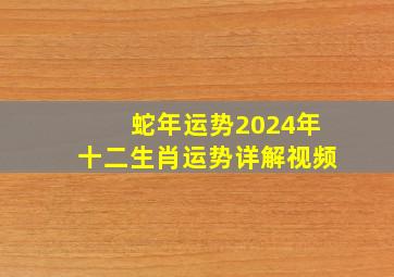 蛇年运势2024年十二生肖运势详解视频