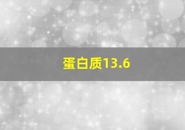 蛋白质13.6