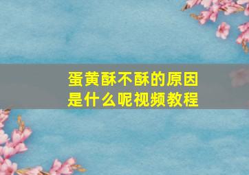 蛋黄酥不酥的原因是什么呢视频教程