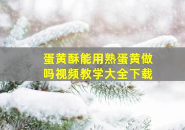 蛋黄酥能用熟蛋黄做吗视频教学大全下载