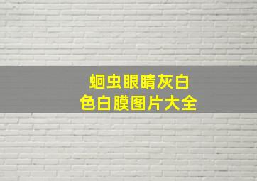 蛔虫眼睛灰白色白膜图片大全