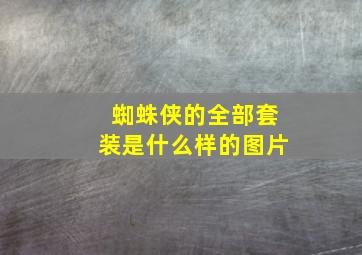 蜘蛛侠的全部套装是什么样的图片