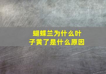 蝴蝶兰为什么叶子黄了是什么原因