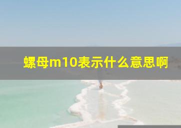 螺母m10表示什么意思啊