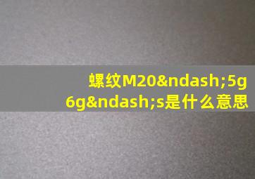 螺纹M20–5g6g–s是什么意思