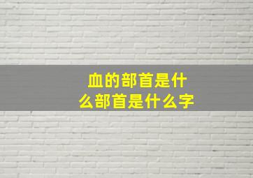 血的部首是什么部首是什么字