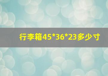 行李箱45*36*23多少寸